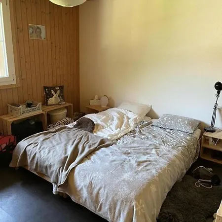 Gemuetliche 45 Zimmerwohnung In Den Buendner Bergen Bei Sedrun Apartment *