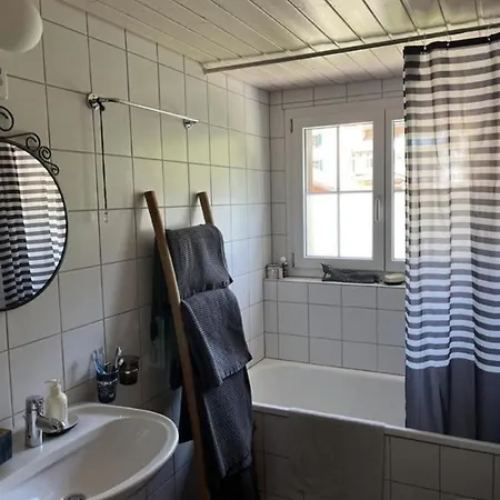 Gemuetliche 45 Zimmerwohnung In Den Buendner Bergen Bei Sedrun Rueras