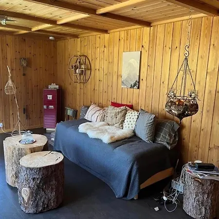 Apartment Gemuetliche 45 Zimmerwohnung In Den Buendner Bergen Bei Sedrun