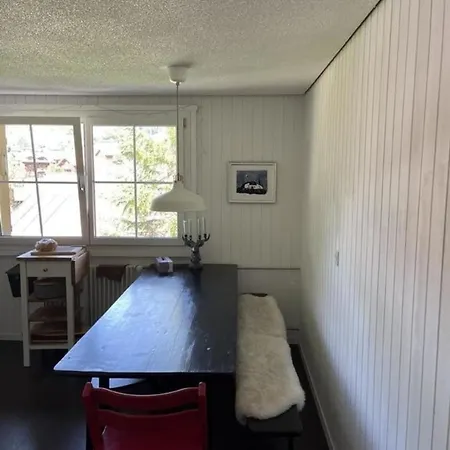 Gemuetliche 45 Zimmerwohnung In Den Buendner Bergen Bei Sedrun Daire